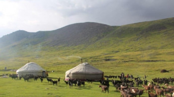 Фотография к новости: 2018 жыл. Қандастар. Елден қуылғандар. Көшіп келгендер.