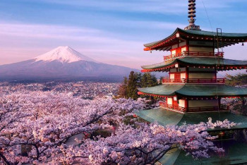 Фотография к новости: Жапонияда елден кеткен туристер салық төлеуге міндеттелді 