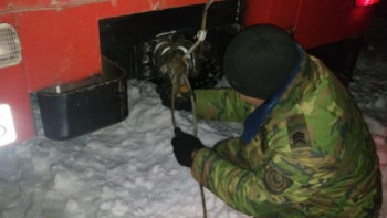 Фотография к новости: Алматы облысының құтқарушылары 55 адамды қар құрсауынан құтқарды