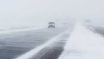 Фотография к новости: Бірнеше облыста дабылды ескерту жарияланды