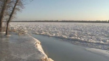 Фотография к новости: Сырдария өзені тағы арнасынан асу мүмкін