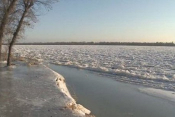 Фотография к новости: Сырдария өзені тағы арнасынан асу мүмкін