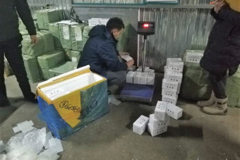 Фотография к новости: «Қорғаста» Қытайда жасалған дәрілік заттар тәркіленді