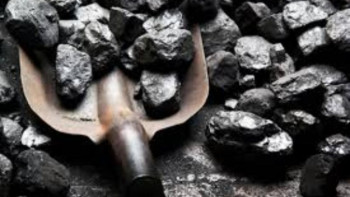 Фотография к новости: Жұма күні елордаға 2,5 тонна көмір жеткізілді