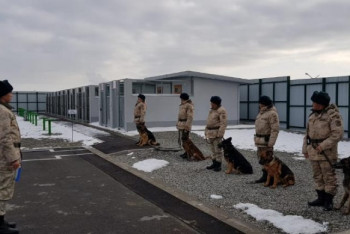 Фотография к новости: Қорғаста кинологтар жиыны өтті