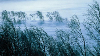 Фотография к новости: Маңғыстау облысында дауылды ескерту жарияланды