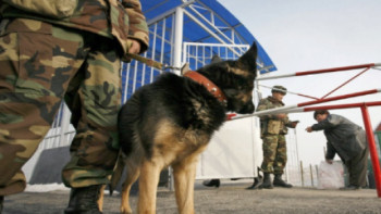 Фотография к новости: Шекарашылар заңсыз тауарлардың жолын кесті