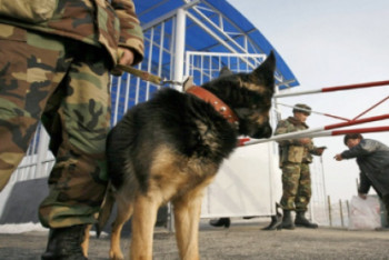 Фотография к новости: Шекарашылар заңсыз тауарлардың жолын кесті