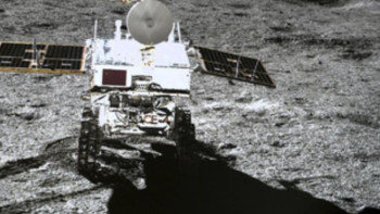 Фотография к новости: Айдағы алғашқы өсімдік өспей қалды 