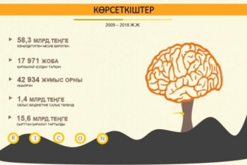 Фотография к новости: Түркістанда 17 мың жоба жеңілдетілген несиемен қамтылған