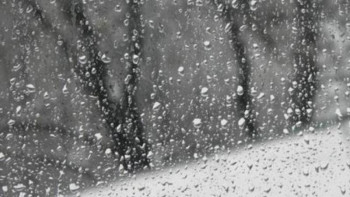 Фотография к новости: Демалыс күндері оңтүстікте жаңбыр жауады 