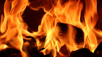 Фотография к новости: Шекарашы сәбилерді өрттен аман алып қалған