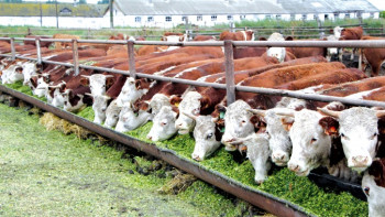 Фотография к новости: Ауыл шаруашылығы саласындағы ынтымақтастықты нығайту мүмкіндігі талқыланды