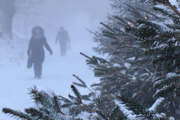 Фотография к новости: Еліміздің үш облысында дабылды ескерту жарияланды