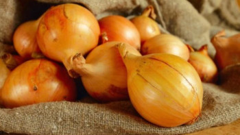 Фотография к новости: Павлодарлық базарларда пияздың талапқа сай емес екені анықталды