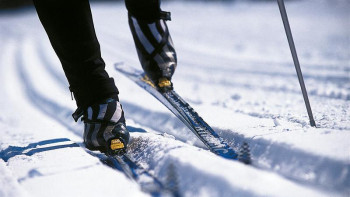 Фотография к новости: Өскеменде жаңа шаңғы жолдары пайда болады