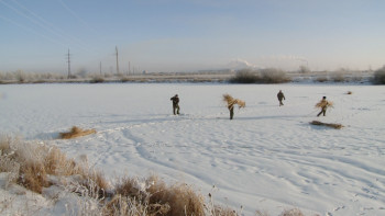 Фотография к новости: Павлодар облысында балықтарды құтқару шаралары басталды