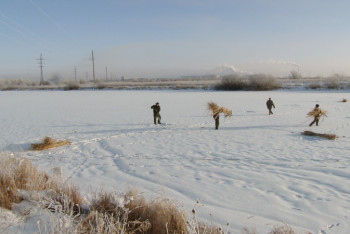 Фотография к новости: Павлодар облысында балықтарды құтқару шаралары басталды