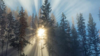 Фотография к новости: 26 қаңтарға арналған ауа райы болжамы