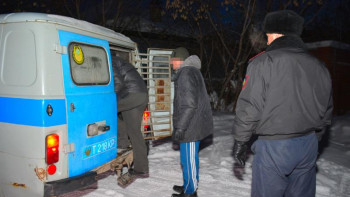 Фотография к новости: Петропавлда полицейлер көшедегі қаңғыбастардың үсіп қалмауын қадағалауда