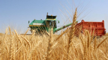 Фотография к новости: Биыл қанша тонна астық жиналады?