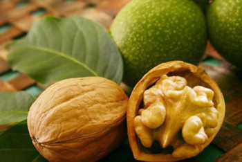 Фотография к новости: Түлкібаста 600 тоннадан астам жаңғақ жиналды