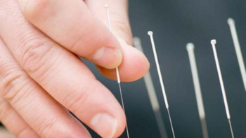 Фотография к новости: Қорғаста «алтын инелер» табылды