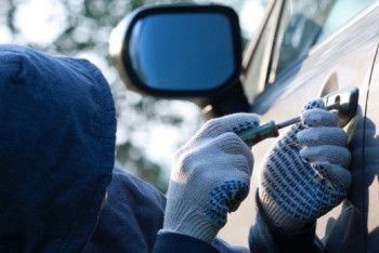 Фотография к новости: Елімізде халықаралық іздеудегі көлік саны артқан 