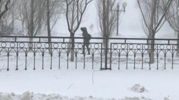 Фотография к новости: Екі облыста дабылды ескерту жарияланды