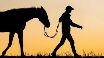 Фотография к новости: Мал ұрлығы үшін жазаны күшейту керек – сенатор