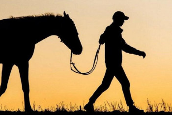 Фотография к новости: Мал ұрлығы үшін жазаны күшейту керек – сенатор