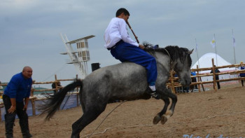 Фотография к новости: Моңғолия қазағы Германияда асау үйретіп жүр