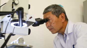 Фотография к новости: Асыраушысынан айырылғандардың жәрдемақысы өседі