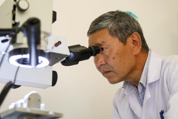 Фотография к новости: Асыраушысынан айырылғандардың жәрдемақысы өседі