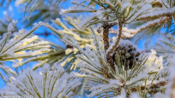 Фотография к новости: Еліміздің екі облысында дабылды ескерту жарияланды