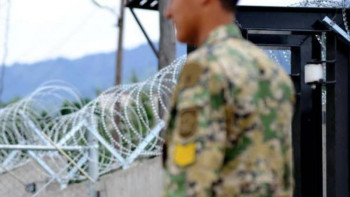 Фотография к новости: Апиын ұрықтары жапсырылған теңгелер