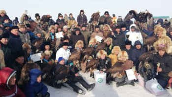 Фотография к новости: Құсбегіліктен Қазақстан чемпионаты өтті