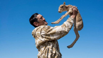 Фотография к новости: Басын тікті өлімге бөкен үшін... 