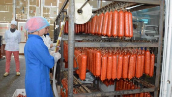 Фотография к новости: Астанадағы шұжық зауытының іске қосылу мерзімі белгілі болды 