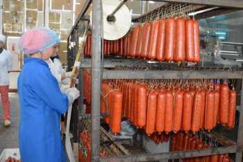 Фотография к новости: Астанадағы шұжық зауытының іске қосылу мерзімі белгілі болды 