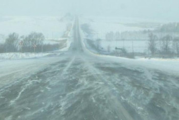 Фотография к новости: Қарағандыда жолда қалған 5 адам құтқарылды