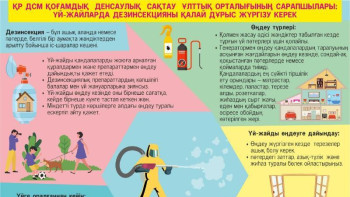 Фотография к новости: Үй-жайларда дезинсекцияны қалай дұрыс жүргізу керек