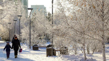 Фотография к новости: Елімізде аязды ауа райы жалғасады