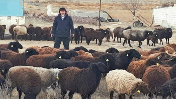 Фотография к новости: «Сыбаға» бойынша несиелеуге өтініш қабылдау жалғасып жатыр