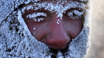 Фотография к новости: Үсік шалғанда не істеу керек