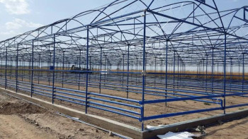 Фотография к новости: Түркістанда жоғары технологиялы жылыжай кешені салынуда 