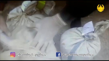 Фотография к новости: Шуда 52 жастағы тұрғынның үйінен 28 келіден астам марихуана табылды