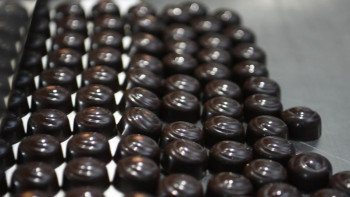 Фотография к новости: Түркістанда шоколад өндіретін цех іске қосылды