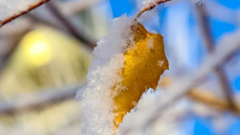 Фотография к новости: Бірнеше облыста аяз сақталады