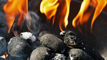 Фотография к новости: Шымкент. 22 мың үй 96 мың тонна көмір жағады